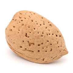 Almond nut in shell isolated on white background close up