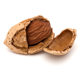 Almond nut in shell and shelled isolated on white background clo