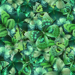 butterfly green 01