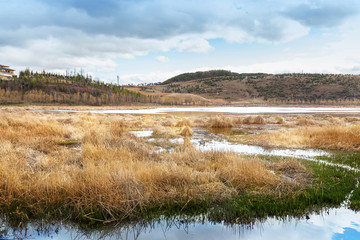 Scenic mounds of dry grass in the autume season