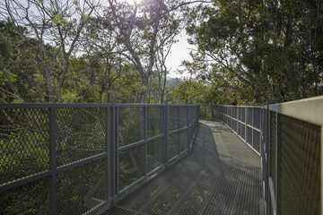 Canopy walks with sun flare at Queen sirikit botanic garden