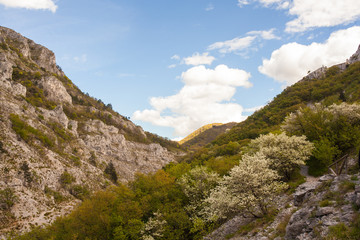 Fototapeta na wymiar View of Val Rosandra