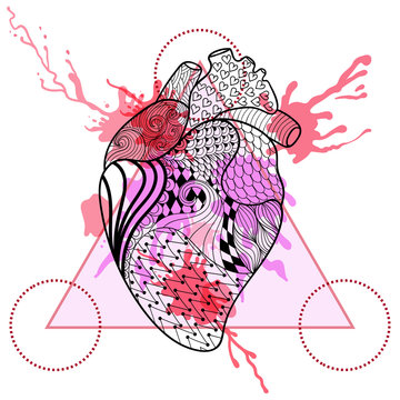 Zentangle stylized Human heart in triangle frame with watercolor