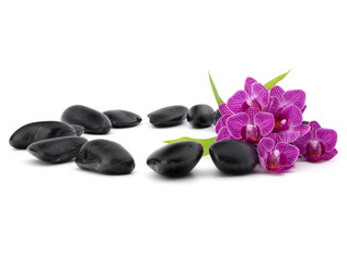 Fototapeta na wymiar Zen pebbles and orchid flower. Stone spa and healthcare concept.
