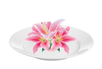 beautiful pink lily on white plate isolated on white