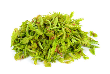 pile Tamarind leaf isolated