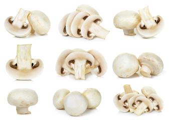 Sliced Champignon mushroom isolated