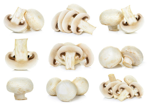 Sliced Champignon mushroom isolated
