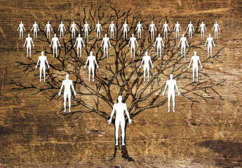 family tree