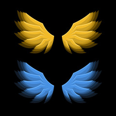 Fiery Golden and Blue Wings on Black Background. Vector