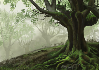 Tree in forest with fog