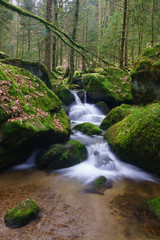 Obraz premium Gertelbach