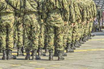 Military parade in the city