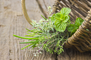 Freshly harvested herbs