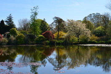 Fototapeta na wymiar An English country garden in early springtime. 