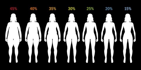 Fat percent of girl from fat to slim silhouette - obrazy, fototapety, plakaty