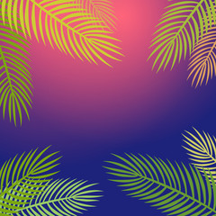 Fototapeta na wymiar Palm trees silhouette background