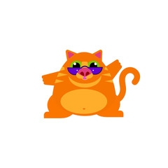 Flat cat with glasses playing