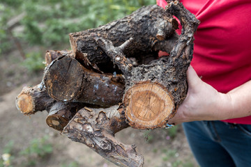 woman holding firewood