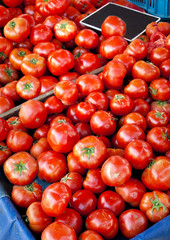 tomatoes at an outdoor market