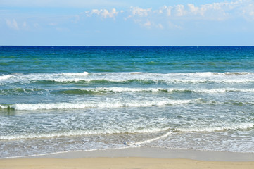 Fototapeta na wymiar sea and beach in a summer day in Ostuni, Apulia, Italy