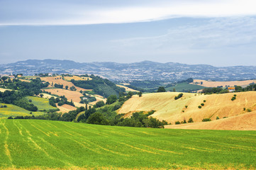 Fototapeta na wymiar Country landscape in Marches (Italy)
