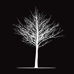 Shape of black Tree. Vector Illustration.