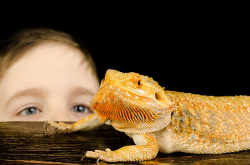 kid and australian dragon  