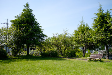 Fototapeta premium ベンチのある公園の風景