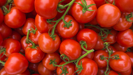 Red tomatoes.  tomato