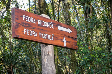 Trilha em Monte Verde