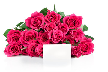 Roses isolated on white background