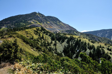 長野県　新緑の志賀高原　横手山ドライブイン