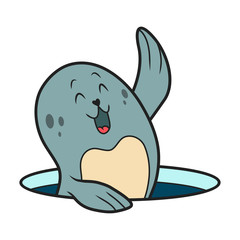 cute seal