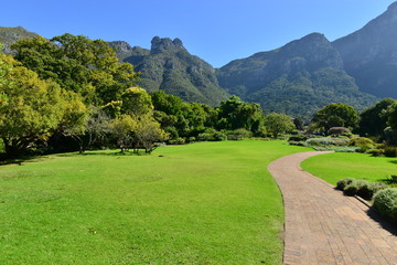 Fototapeta na wymiar Botanical gardens at the Western Cape of South Africa 