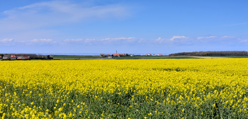 Obraz premium côte d'opale et les falaises anglaises à l'horizon