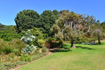 Botanical gardens at the Western Cape of South Africa
