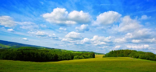Photo sur Plexiglas Été Summer landscape with field and clouds.