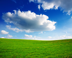 Summer landscape with green grass and blue sky.