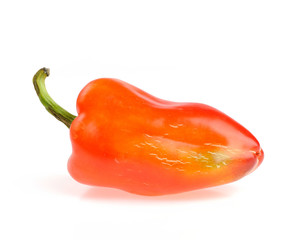 orange pepper isolated