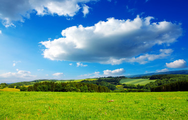 Summer landscape with field and clouds.