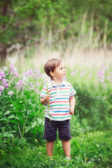 Portrait of a cute funny little boy toddler standing in the forest field meadow with dandelion flowers in hands and blowing them on a bright summer day, summer fun, copyspace for text