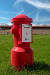 Fototapeta na wymiar Red fire hydrant on the green grass.
