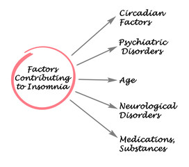 Factors Contributing to Insomnia