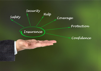 Diagram of insurance