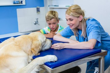 A woman vet and little boy playing with a dog