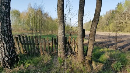 Wieś © michalsen