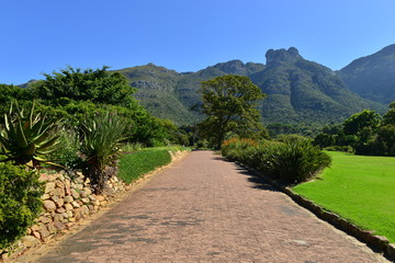 Fototapeta na wymiar Botanical gardens at the Western Cape of South Africa 