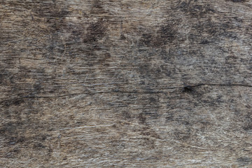 Fototapeta premium close up of wood texture for background