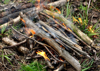 A fire kindled in the forest.